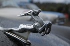 Dzintara Volga 2010 - Foto