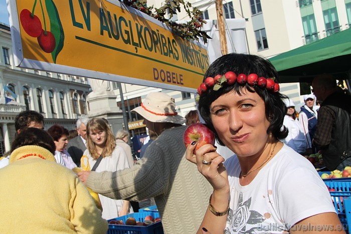 25.09.2010., jau vienpadsmito reizi Rīgas Rātslaukumā notika Miķeļdienas Ābolu gadatirgus. Svētku rīkotājs ir SIA «Rīgas nami» 25.09.2010., jau vienpadsmito reizi Rīgas Rātslaukumā notika Miķeļdienas Ābolu gadatirgus. Svētku rīkotājs ir SIA «Rīgas nami» 50434