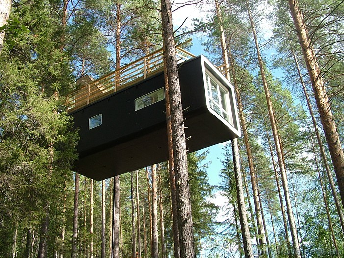 Viesnīca sastāv no sešiem unikāliem numuriem, kas izbūvēti kokos 4-6 metru augstumā
Foto: © Treehotel Viesnīca sastāv no sešiem unikāliem numuriem, kas izbūvēti kokos 4-6 metru augstumā
Foto: © Treehotel 51161