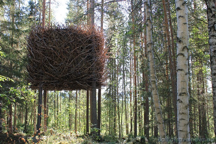 Viesnīca Treehotel domāta tiem, kas vēlas piepildīt bērnības sapni un padzīvot kokā. Tiesa, viesnīcā pieejami ļoti komfortabli numuri
Foto: © Treehot Viesnīca Treehotel domāta tiem, kas vēlas piepildīt bērnības sapni un padzīvot kokā. Tiesa, viesnīcā pieejami ļoti komfortabli numuri
Foto: © Treehot 51162