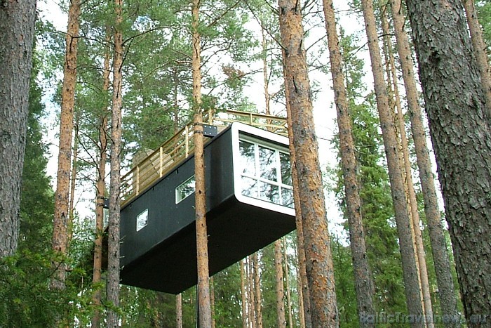 Viesnīcas Treehotel numuri lielākoties sastāv no koka (tikai viena numura apdarē izmantots stikls) un tie izvietoti priedes kokos
Foto: © Treehotel Viesnīcas Treehotel numuri lielākoties sastāv no koka (tikai viena numura apdarē izmantots stikls) un tie izvietoti priedes kokos
Foto: © Treehotel 51167