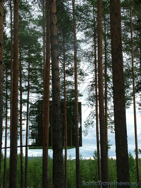 Nakšņošana viesnīcā maksā no 370-450 eiro par nakti. Cena atkarīga no izvēlētā numura. Viesnīcas Treehotel adrese: Edeforsväg 2A, S-960 24 Harads
Fot Nakšņošana viesnīcā maksā no 370-450 eiro par nakti. Cena atkarīga no izvēlētā numura. Viesnīcas Treehotel adrese: Edeforsväg 2A, S-960 24 Harads
Fot 51169