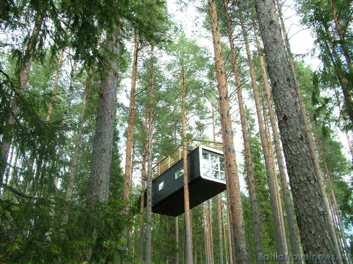 Vairāk informācijas par viesnīcu Treehotel iespējams atrast interneta vietnē www.treehotel.se
Foto: © Treehotel Vairāk informācijas par viesnīcu Treehotel iespējams atrast interneta vietnē www.treehotel.se
Foto: © Treehotel 51171