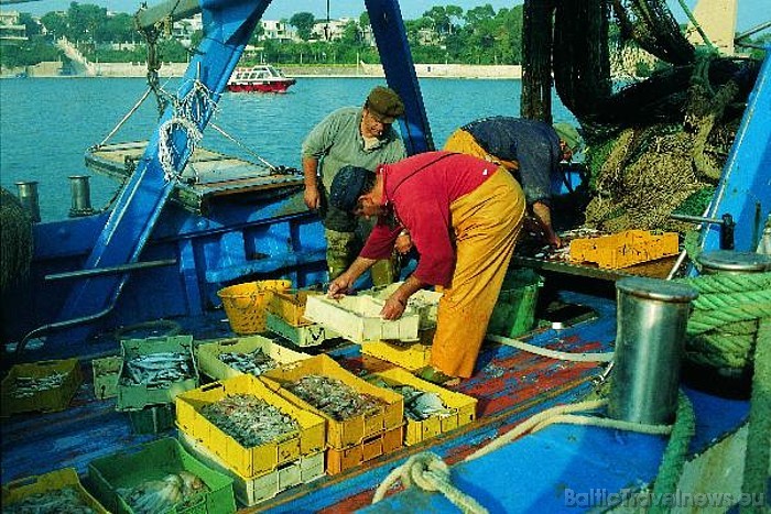 Brindizi ir īsta jūras pilsēta, kur daudz nodarbojas ar zvejniecību
Foto: Fototeca ENIT/ATP Puglia Brindizi ir īsta jūras pilsēta, kur daudz nodarbojas ar zvejniecību
Foto: Fototeca ENIT/ATP Puglia 52108
