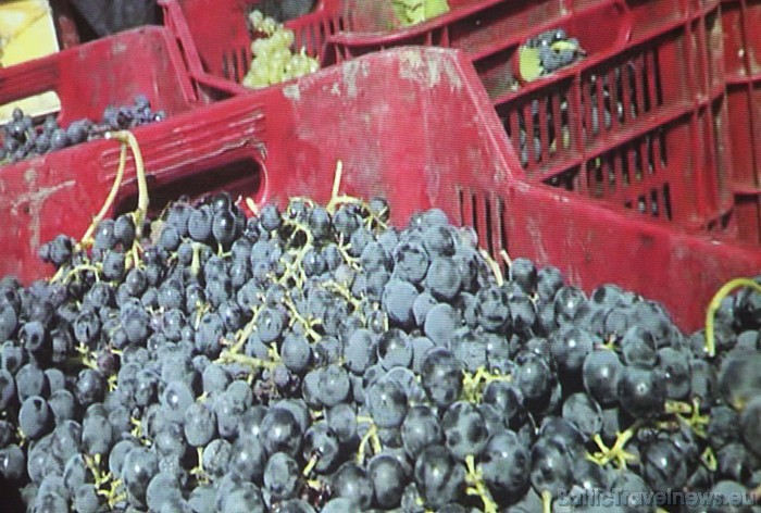 Viesnīcas Elizabete Hotel restorānā tika prezentēti vīni un delikateses no Itālijas. Vairāk info - Wine Concept Viesnīcas Elizabete Hotel restorānā tika prezentēti vīni un delikateses no Itālijas. Vairāk info - Wine Concept 53158