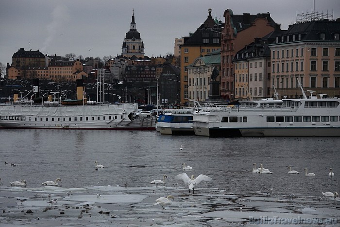 Tallink no Rīgas piedāvā kruīzus uz Zviedrijas galvaspilsētu Stokholmu
Foto: Juris Ķilkuts/www.fotoatelje.lv Tallink no Rīgas piedāvā kruīzus uz Zviedrijas galvaspilsētu Stokholmu
Foto: Juris Ķilkuts/www.fotoatelje.lv 54276