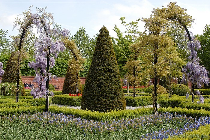 Keukenhofā apskatāmi ne tikai ziedi, bet arī vairāk nekā 2500 koku, kas pieder pie 87 dažādām sugām
Foto: PR Keukenhof Keukenhofā apskatāmi ne tikai ziedi, bet arī vairāk nekā 2500 koku, kas pieder pie 87 dažādām sugām
Foto: PR Keukenhof 54906