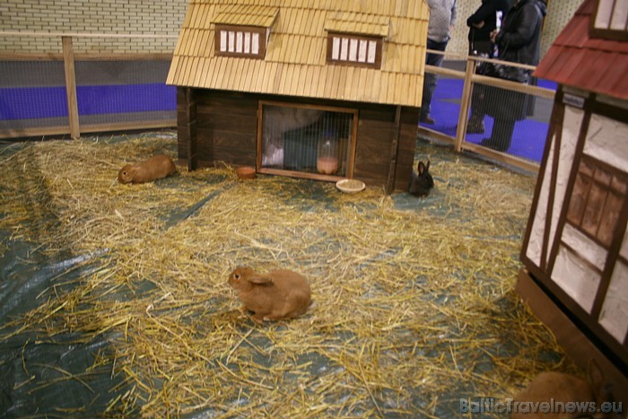 Balttour 2011 dalībnieku stendi 55051