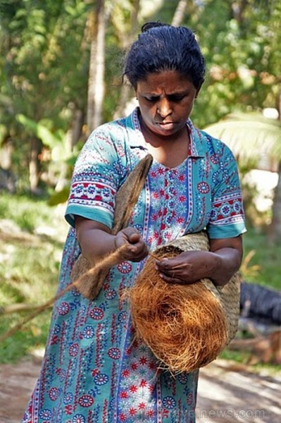 Kokosšķiedru virvju izgatavošana. Backwaters – lagūnezeru, upju, kanālu un mangrovju salu labirintos. Kerala
Foto: Guna Bērziņa Kokosšķiedru virvju izgatavošana. Backwaters – lagūnezeru, upju, kanālu un mangrovju salu labirintos. Kerala
Foto: Guna Bērziņa 57101