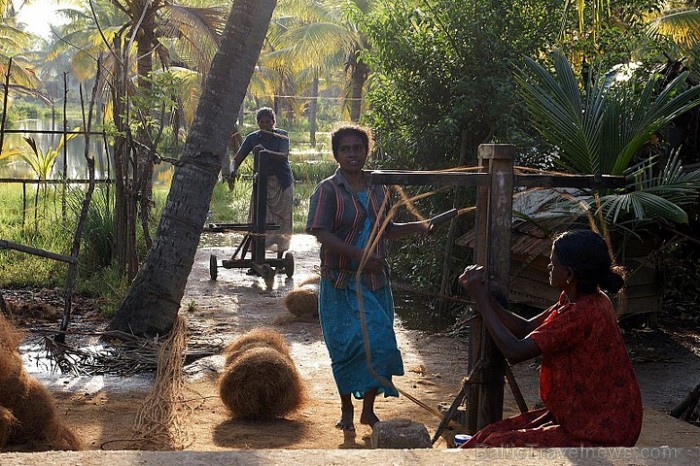 5m garas kokosšķiedru virves izgatavošanai nepieciešama īpaša rīku sistēma un 3 cilvēki. Kerala
Foto: Guna Bērziņa 5m garas kokosšķiedru virves izgatavošanai nepieciešama īpaša rīku sistēma un 3 cilvēki. Kerala
Foto: Guna Bērziņa 57102