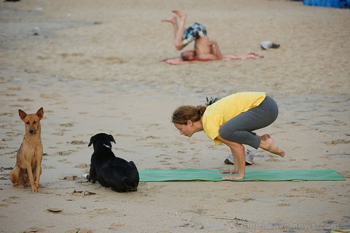 Jau pirms saules lēkta pludmale pilna ar vingrotājiem un meditētājiem. Varkalai. Foto: Guna Bērziņa Jau pirms saules lēkta pludmale pilna ar vingrotājiem un meditētājiem. Varkalai. Foto: Guna Bērziņa 57190