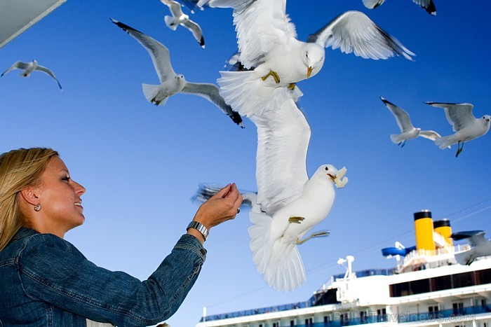 Sasniedzot 4.000 sekotājus Facebook.com/Travelnews.lv profilā, tiks izlozēts ceļojums ar Tallink uz Stokholmu 4 personām. Foto: Tallink Sasniedzot 4.000 sekotājus Facebook.com/Travelnews.lv profilā, tiks izlozēts ceļojums ar Tallink uz Stokholmu 4 personām. Foto: Tallink 58382