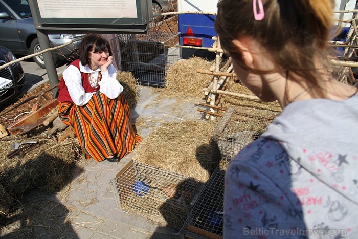 Tirdzņā pilsētnieki tiek aicināti pieteikties zemnieku saimniecībās, iepazīt lauku dzīves romantiku un pastrādāt laukos par vēdera tiesu
Foto: Kaspar Tirdzņā pilsētnieki tiek aicināti pieteikties zemnieku saimniecībās, iepazīt lauku dzīves romantiku un pastrādāt laukos par vēdera tiesu
Foto: Kaspar 58736