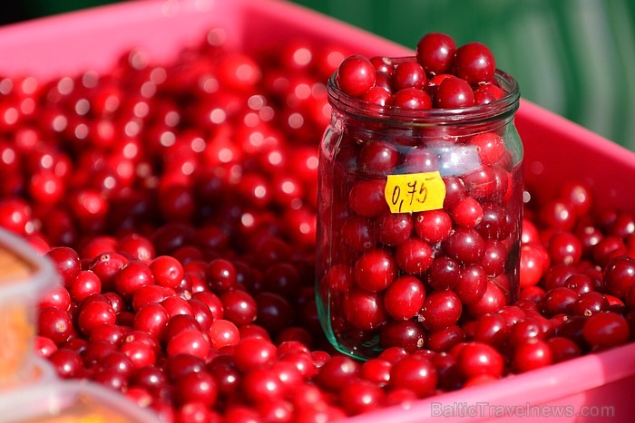 Visi interesenti Lauku labumu tirdziņā pie Spices varēs iegūt informāciju par akciju, zemnieku saimniecībām, tur veicamajiem darbiem un atpūtas iespēj Visi interesenti Lauku labumu tirdziņā pie Spices varēs iegūt informāciju par akciju, zemnieku saimniecībām, tur veicamajiem darbiem un atpūtas iespēj 58737