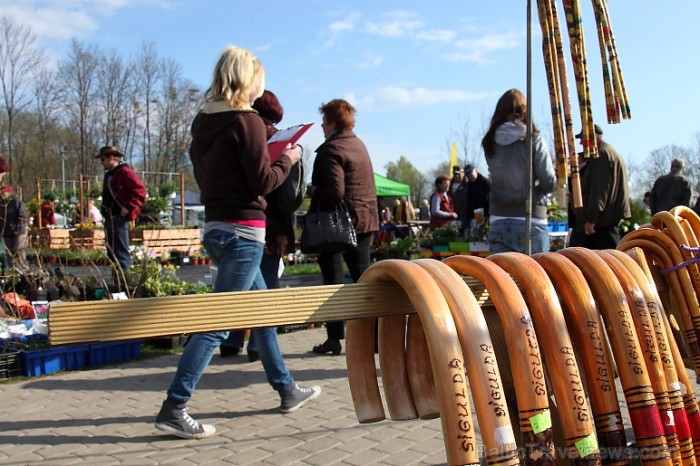 Latvijas Stādu parāde 2011 notika Siguldā, Svētku laukumā pie panorāmas riteņa. Papildus informācija: www.staduparade.lv
Foto: Juris Kilkuts Latvijas Stādu parāde 2011 notika Siguldā, Svētku laukumā pie panorāmas riteņa. Papildus informācija: www.staduparade.lv
Foto: Juris Kilkuts 58974
