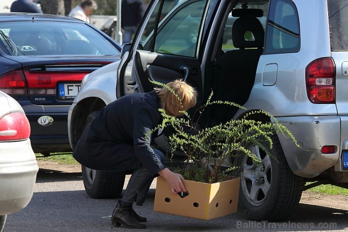 Latvijas Stādu parāde 2011 notika Siguldā, Svētku laukumā pie panorāmas riteņa. Papildus informācija: www.staduparade.lv
Foto: Juris Kilkuts Latvijas Stādu parāde 2011 notika Siguldā, Svētku laukumā pie panorāmas riteņa. Papildus informācija: www.staduparade.lv
Foto: Juris Kilkuts 59005