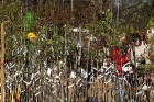 Siguldā pulcējās cilvēki uz Latvijas Stādu parādi