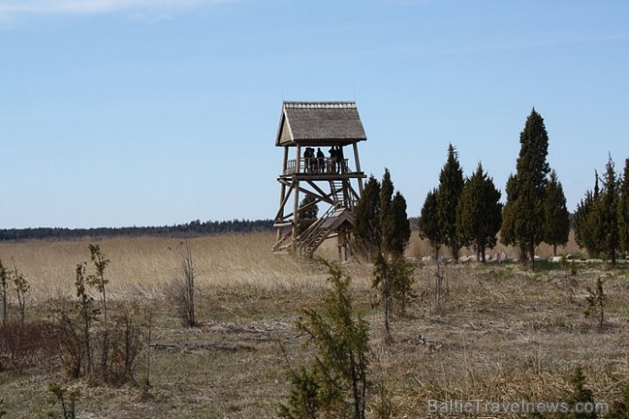 Kaņiera ezera putnu vērošanas tornis , ir viens no labākajiem putnu vērošanas vietām Latvijā.
Foto: Līga Jaunozola Kaņiera ezera putnu vērošanas tornis , ir viens no labākajiem putnu vērošanas vietām Latvijā.
Foto: Līga Jaunozola 59542