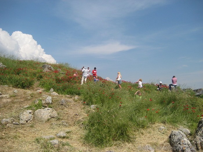 Pamukkale ir brīnumaina vieta Turcijā, kas ir slavena ar dziedinošiem ūdeņiem (Kleopatras baseinu), elpu aizraujošo ainavu (Baltās terases) un bagāto Pamukkale ir brīnumaina vieta Turcijā, kas ir slavena ar dziedinošiem ūdeņiem (Kleopatras baseinu), elpu aizraujošo ainavu (Baltās terases) un bagāto 60972