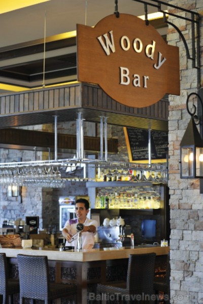 Viens no viesnīcas bāriem - Woddy bar 61252