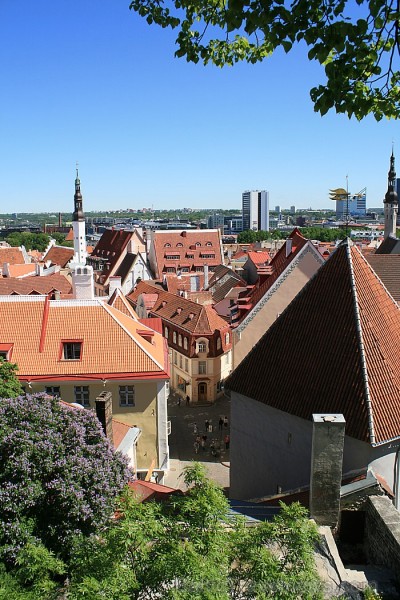 Oktobrī Tallinā notiks fotomēnesis, piepildot pilsētas izstāžu teritorijas tikai un vienīgi ar fotogrāfijām. Oktobrī Tallinā notiks fotomēnesis, piepildot pilsētas izstāžu teritorijas tikai un vienīgi ar fotogrāfijām. 61649