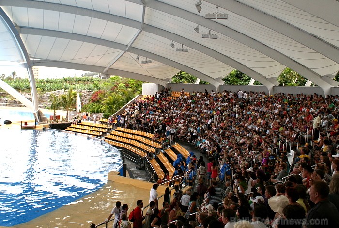Travelnews.lv ceļojuma stāsts par Loro parku (Loro parque) - Loro parka unikalitāte piesaista tūristus no visas pasaules Travelnews.lv ceļojuma stāsts par Loro parku (Loro parque) - Loro parka unikalitāte piesaista tūristus no visas pasaules 64524