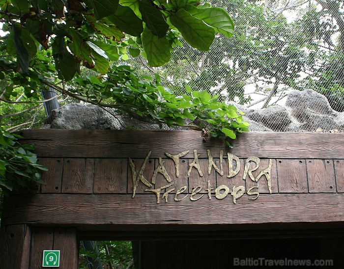 Travelnews.lv ceļojuma stāsts par Loro parku (Loro parque) - Loro parka unikalitāte piesaista tūristus no visas pasaules Travelnews.lv ceļojuma stāsts par Loro parku (Loro parque) - Loro parka unikalitāte piesaista tūristus no visas pasaules 64575