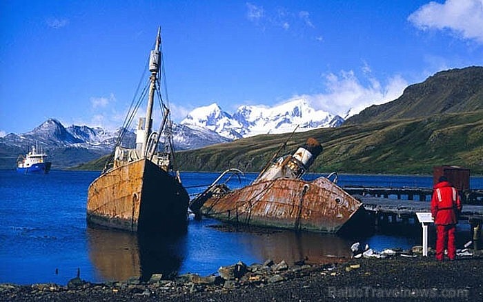 Gritvikenā, Dienviddžordžijā. Foto: www.wowfacts.net 64850