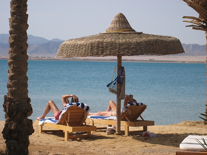 Travelnews.lv redakcija ar starptautiskā tūroperatora Tez tour (www.teztour.lv) gādību bauda Ēģiptes saules viesnīcu InterContinental Abu Soma Resort Travelnews.lv redakcija ar starptautiskā tūroperatora Tez tour (www.teztour.lv) gādību bauda Ēģiptes saules viesnīcu InterContinental Abu Soma Resort 68041