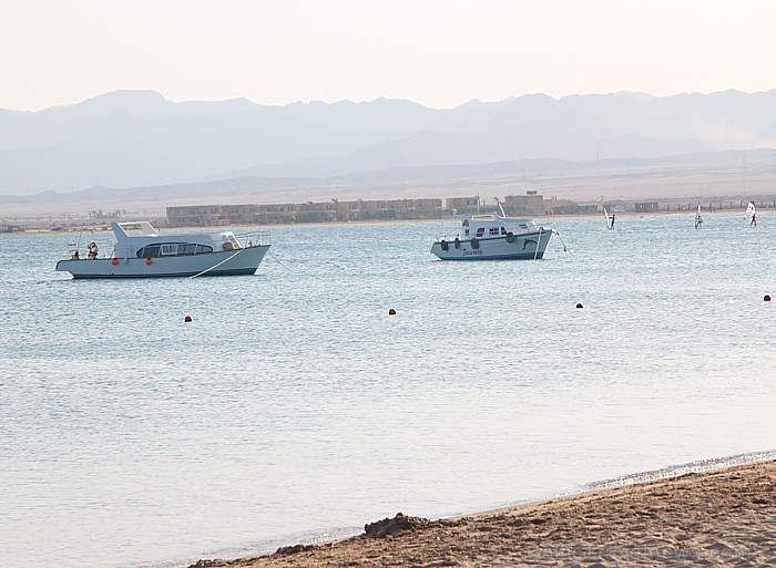 Travelnews.lv redakcija ar starptautiskā tūroperatora Tez tour (www.teztour.lv) gādību bauda Ēģiptes saules viesnīcu InterContinental Abu Soma Resort Travelnews.lv redakcija ar starptautiskā tūroperatora Tez tour (www.teztour.lv) gādību bauda Ēģiptes saules viesnīcu InterContinental Abu Soma Resort 68052