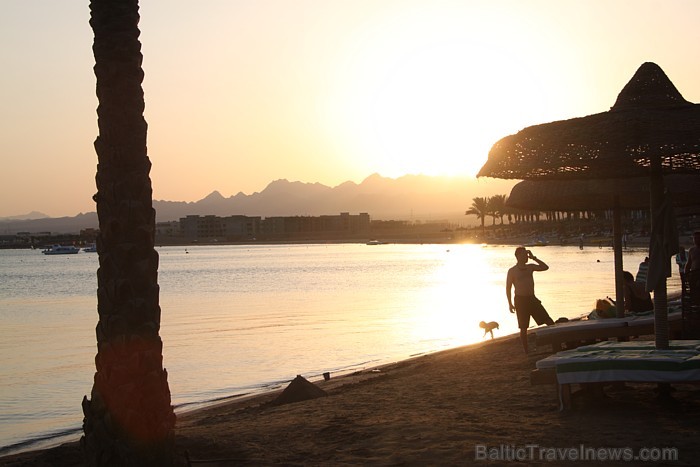 Travelnews.lv redakcija ar starptautiskā tūroperatora Tez tour (www.teztour.lv) gādību bauda Ēģiptes saules viesnīcu InterContinental Abu Soma Resort Travelnews.lv redakcija ar starptautiskā tūroperatora Tez tour (www.teztour.lv) gādību bauda Ēģiptes saules viesnīcu InterContinental Abu Soma Resort 68067