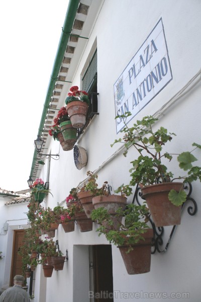 Romantiskākā Priego de Cordoba vieta ir tā vecpilsēta ar šaurām ieliņām, baltām mājām un lielu puķu podu skaitu Romantiskākā Priego de Cordoba vieta ir tā vecpilsēta ar šaurām ieliņām, baltām mājām un lielu puķu podu skaitu 68992