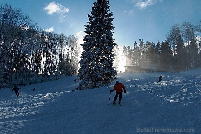 Reiņa trase piesaista Latvijas un ārvalstu ģimenes ziemas priekiem. Konkurss - http://on.fb.me/zsQjLo Foto: www.reinatrase.lv Reiņa trase piesaista Latvijas un ārvalstu ģimenes ziemas priekiem. Konkurss - http://on.fb.me/zsQjLo Foto: www.reinatrase.lv 72188
