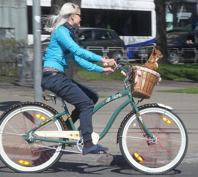 Rīgas velo parāde 2012 74369