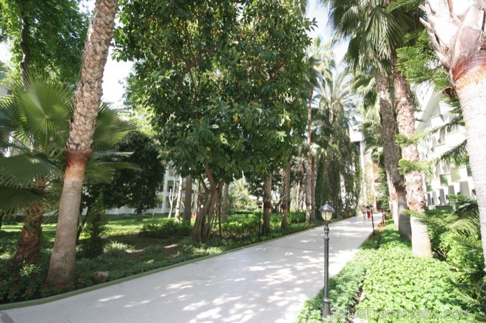 DELPHIN BOTANIK 5* (ALANYA) – viesnīcas zaļā teritorija. www.goadventure.lv 75852