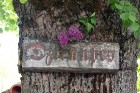 Aicina kopā ar Lauku ceļotāju baudīt Latvijas kultūras mantojumu lauku tūrismā Vidzemē