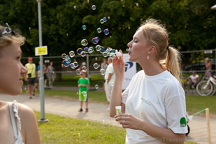 Bitėlandas 2012 78449