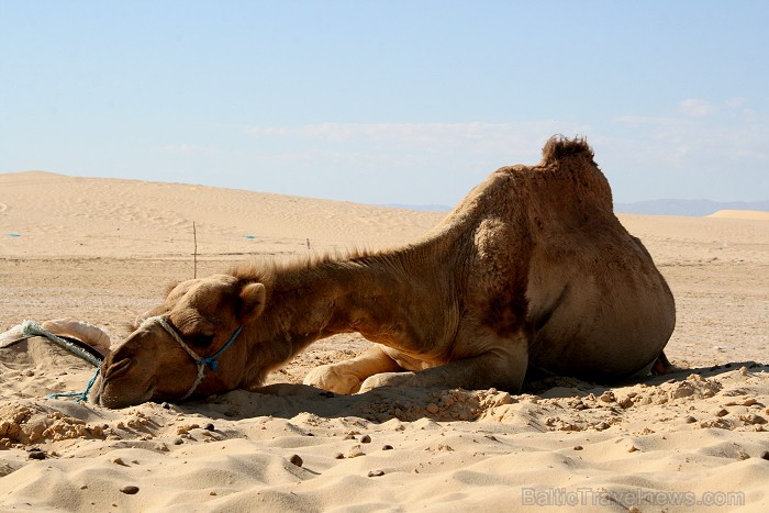 Travelnews.lv sameklē filmas Zvaigžņu kari pilsētas dekorācijas Sahāras tuksnesī (Tunisija) 79261