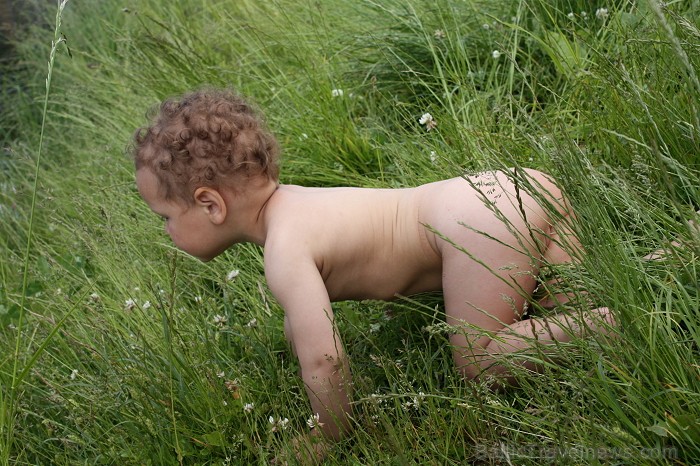 Foto autore: Daina B. Balso par šo bildi - spied Man patīk pie bildes augšējā laba stūra! Piedalies ar savām bildēm! BALVAS un noteikumi Foto autore: Daina B. Balso par šo bildi - spied Man patīk pie bildes augšējā laba stūra! Piedalies ar savām bildēm! BALVAS un noteikumi 80373