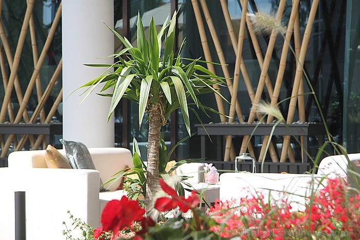 Rīgas restorāns «Cotton» piedāvā vasaras terasi un viltīgi garšīgus ēdienus - www.cottonrestaurant.lv Rīgas restorāns «Cotton» piedāvā vasaras terasi un viltīgi garšīgus ēdienus - www.cottonrestaurant.lv 80035