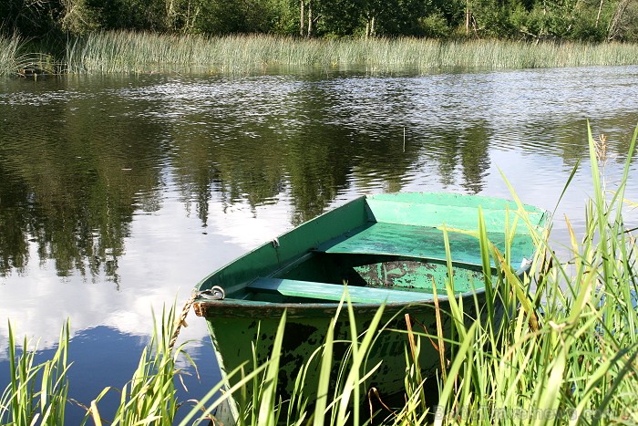 Enerģijas sēta atrodas ļoti skaistā vietā Navesti upes krastā. Enerģijas sētas viesi labprāt dodas pastaigā pa skaistām dabas taciņām Enerģijas sēta atrodas ļoti skaistā vietā Navesti upes krastā. Enerģijas sētas viesi labprāt dodas pastaigā pa skaistām dabas taciņām 80501