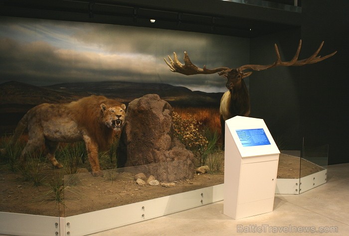 Pirmajā darbības mēnesī (2012. gada jūlijs-augusts) Ledus laikmeta centru ir apmeklējuši aptuveni 30 000 cilvēku Pirmajā darbības mēnesī (2012. gada jūlijs-augusts) Ledus laikmeta centru ir apmeklējuši aptuveni 30 000 cilvēku 80795