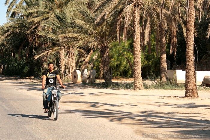 Travelnews.lv devās uz vienu no Tunisijas oāzēm, lai ieraudzītu kā aug dateles, citroni, banāni un granātāboli Travelnews.lv devās uz vienu no Tunisijas oāzēm, lai ieraudzītu kā aug dateles, citroni, banāni un granātāboli 80890