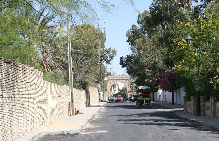 Travelnews.lv devās uz vienu no Tunisijas oāzēm, lai ieraudzītu kā aug dateles, citroni, banāni un granātāboli Travelnews.lv devās uz vienu no Tunisijas oāzēm, lai ieraudzītu kā aug dateles, citroni, banāni un granātāboli 80916