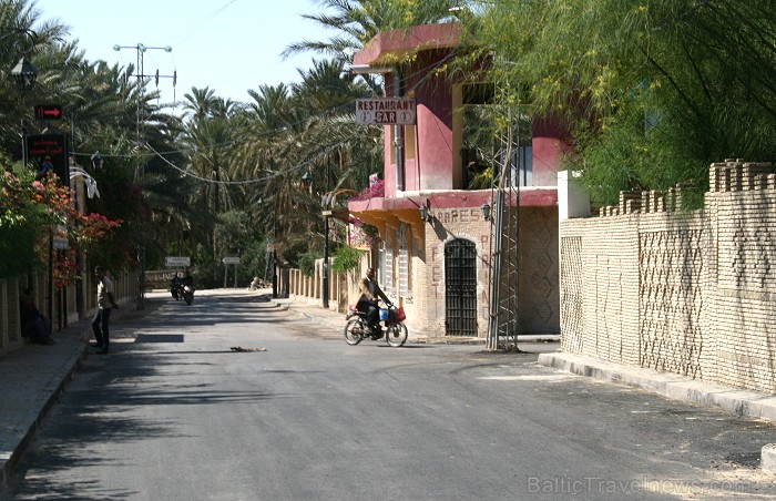 Travelnews.lv devās uz vienu no Tunisijas oāzēm, lai ieraudzītu kā aug dateles, citroni, banāni un granātāboli Travelnews.lv devās uz vienu no Tunisijas oāzēm, lai ieraudzītu kā aug dateles, citroni, banāni un granātāboli 80917