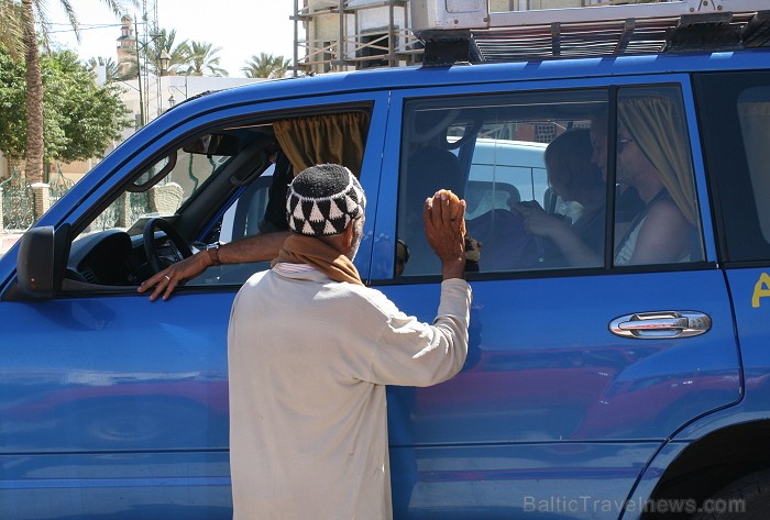 Travelnews.lv devās uz vienu no Tunisijas oāzēm, lai ieraudzītu kā aug dateles, citroni, banāni un granātāboli Travelnews.lv devās uz vienu no Tunisijas oāzēm, lai ieraudzītu kā aug dateles, citroni, banāni un granātāboli 80919