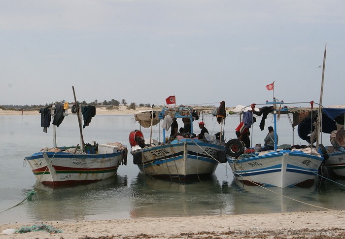 Esot Džerbas salā (Tunisija) noteikti dodies apciemot kādu no nelielām zvejnieku ostām, izbaudīt vietējo iedzīvotāju viesmīlību Esot Džerbas salā (Tunisija) noteikti dodies apciemot kādu no nelielām zvejnieku ostām, izbaudīt vietējo iedzīvotāju viesmīlību 81527