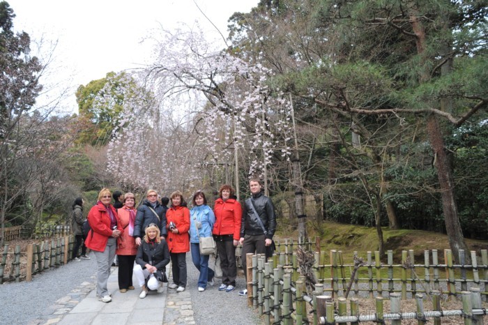 Tūrisma nozare Japānā ir atdzīvojusies, lai atkal tūristiem no visas pasaules ļautu baudīt tās neatkārtojamo kultūru. Foto: www.traveltime.lv Tūrisma nozare Japānā ir atdzīvojusies, lai atkal tūristiem no visas pasaules ļautu baudīt tās neatkārtojamo kultūru. Foto: www.traveltime.lv 81811