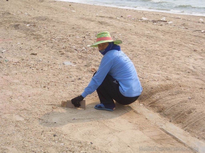 Taizeme ir skaista un neizprotama valsts ar savu kultūru, reliģiju un uzskatiem. Foto: www.pictures-thailand.com Taizeme ir skaista un neizprotama valsts ar savu kultūru, reliģiju un uzskatiem. Foto: www.pictures-thailand.com 82335