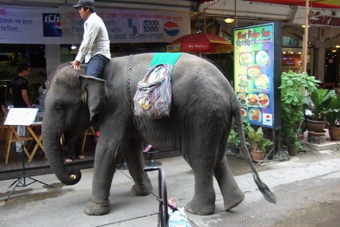 Taizeme ir skaista un neizprotama valsts ar savu kultūru, reliģiju un uzskatiem. Foto: www.pictures-thailand.com Taizeme ir skaista un neizprotama valsts ar savu kultūru, reliģiju un uzskatiem. Foto: www.pictures-thailand.com 82338
